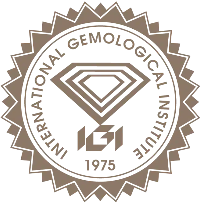 IGI logo